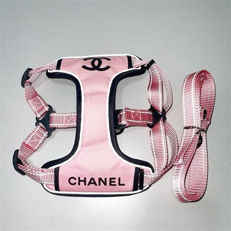 dog chanel sweater|Chanel dog collar and leash.